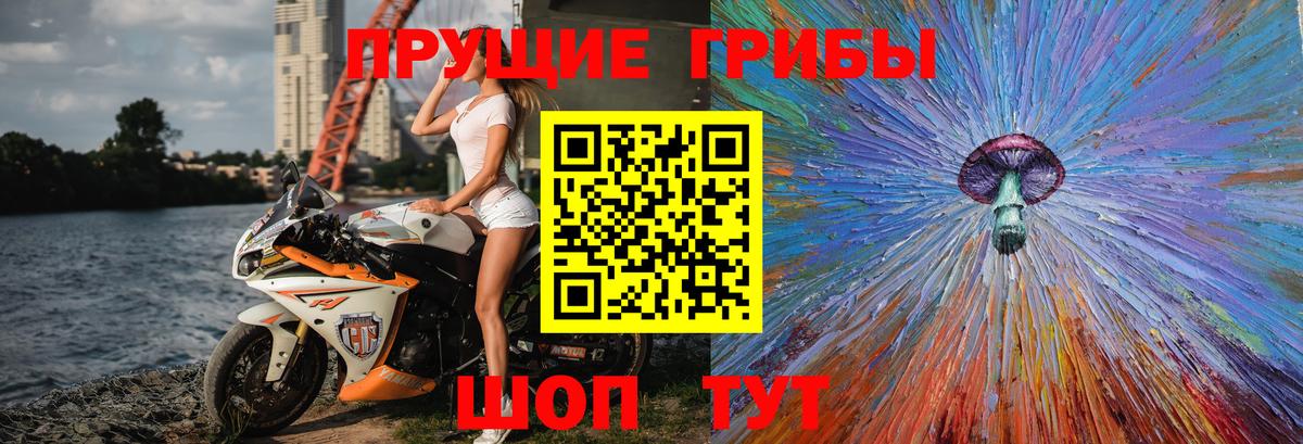 Галлюциногенные грибы ЛСД  Вход с VPN  Шелехов 