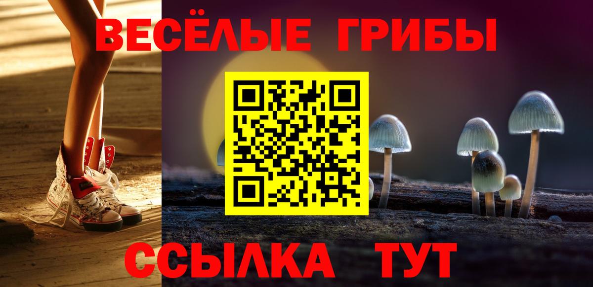 Псилоцибиновые грибы ЛСД Шелехов